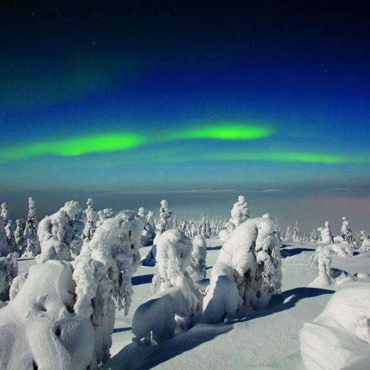 Green aurora borealis above Iso-Syöte hilltop, heavy snow