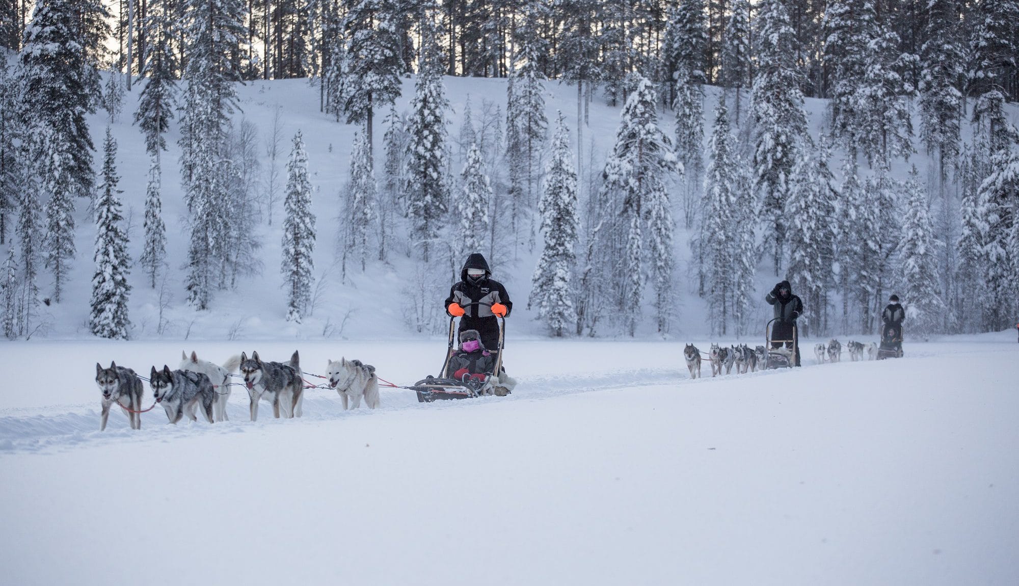 Huskysafari koiravaljakot Iso-Syöte Lapland Finland