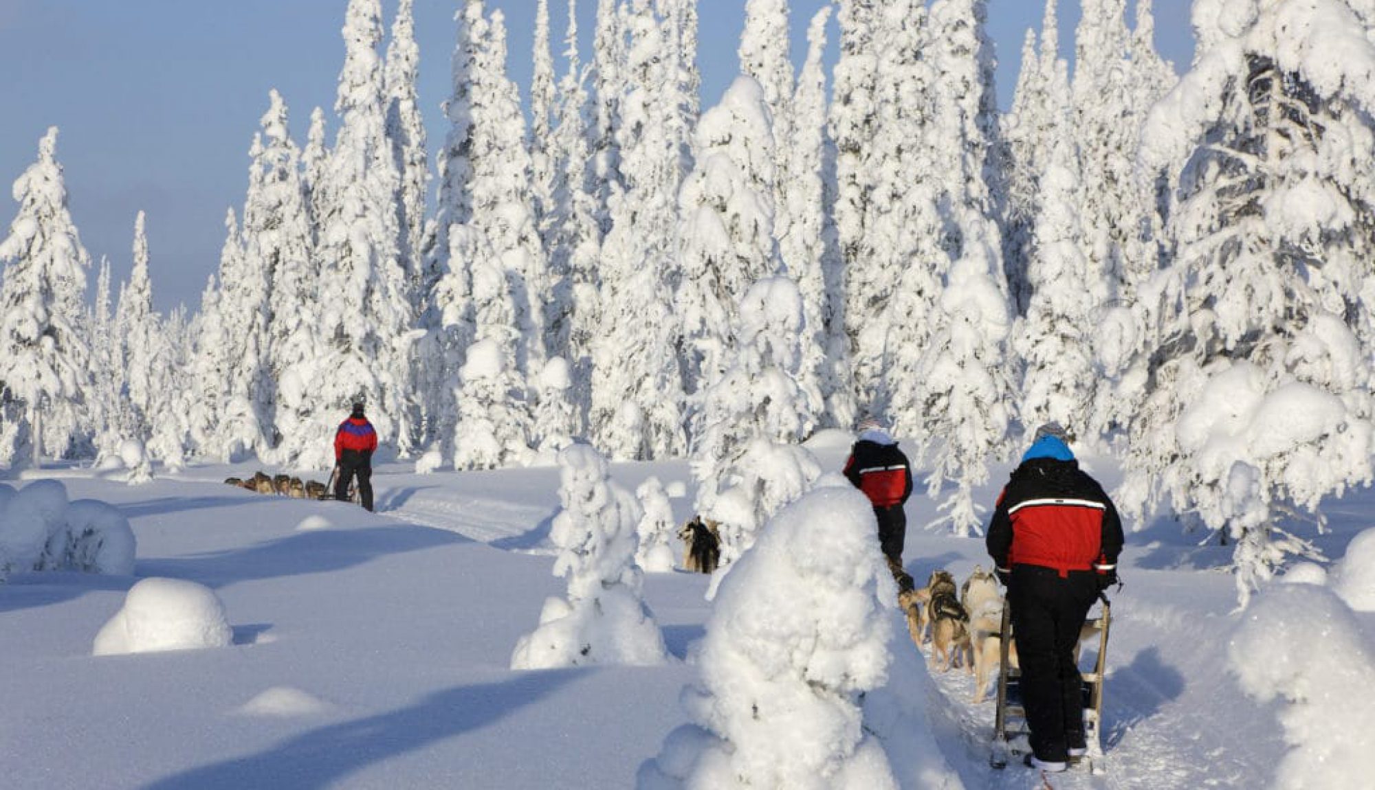 Huskysafari koiravaljakot Iso-Syöte Lapland Finland talvi winter activities dog safari