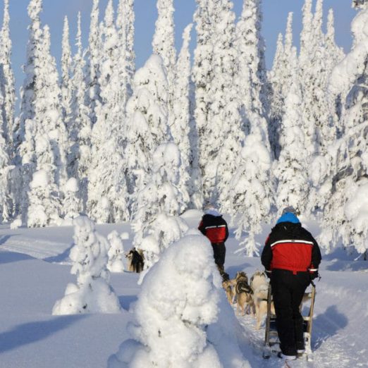 Huskysafari koiravaljakot Iso-Syöte Lapland Finland talvi winter activities dog safari