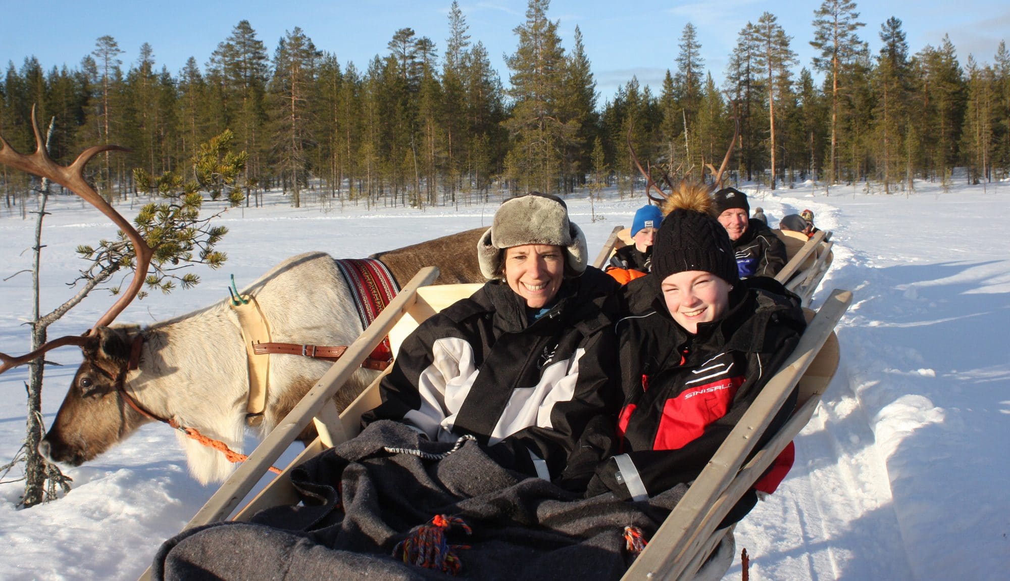 Reindeer ride poroajelu Hotel Iso-Syöte