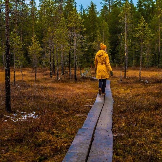 Hiking Hotel Iso-Syöte Lapland Syöte National Park Syötteen kansallispuisto