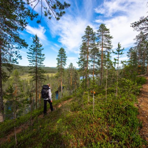 Vaeltajia Pytkynharjulla Syötteen kierros