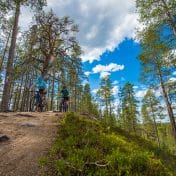 Lapland Bike Hotel Iso-Syöte maastopyöräily Pytkynharju