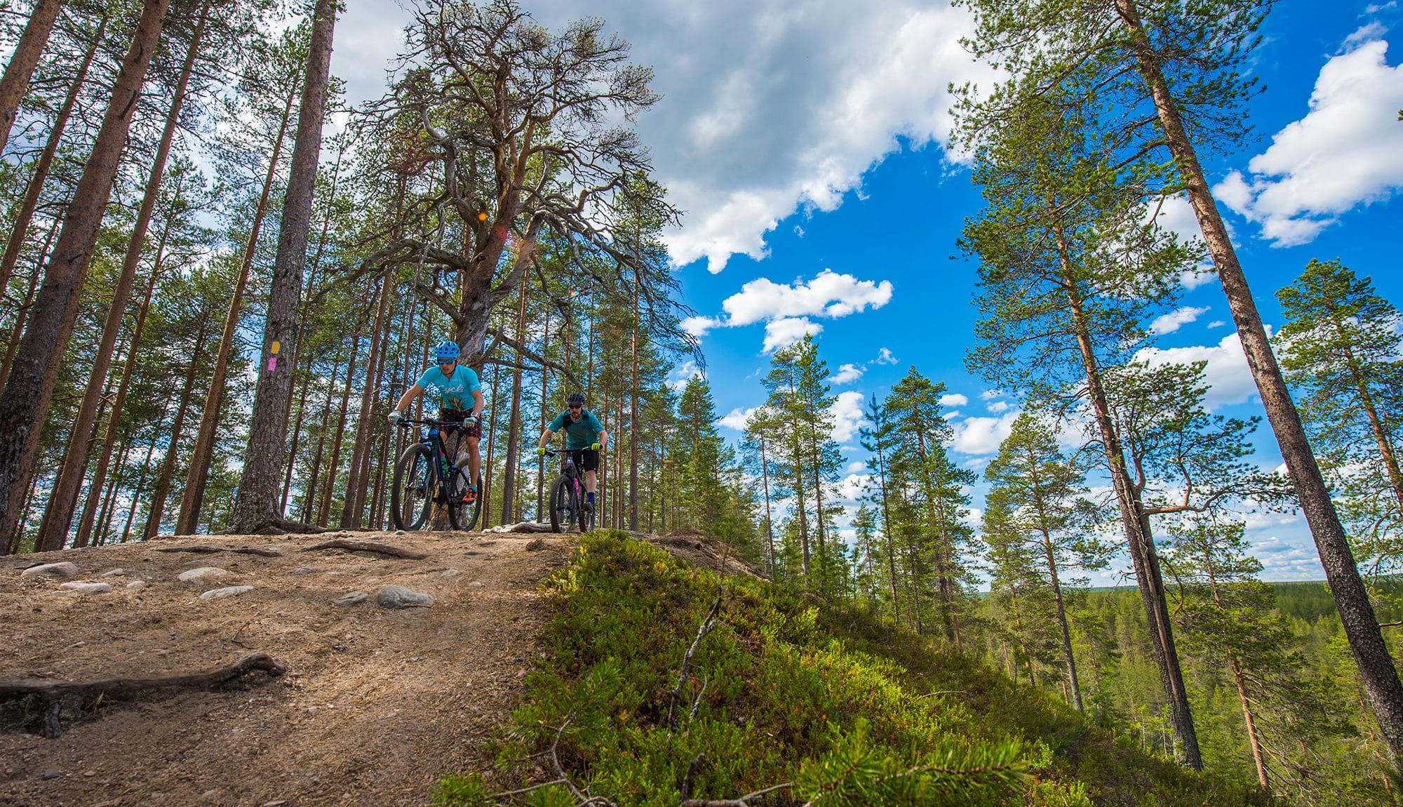 Lapland Bike Hotel Iso-Syöte maastopyöräily Pytkynharju