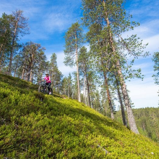 Syöte maastopyöräily