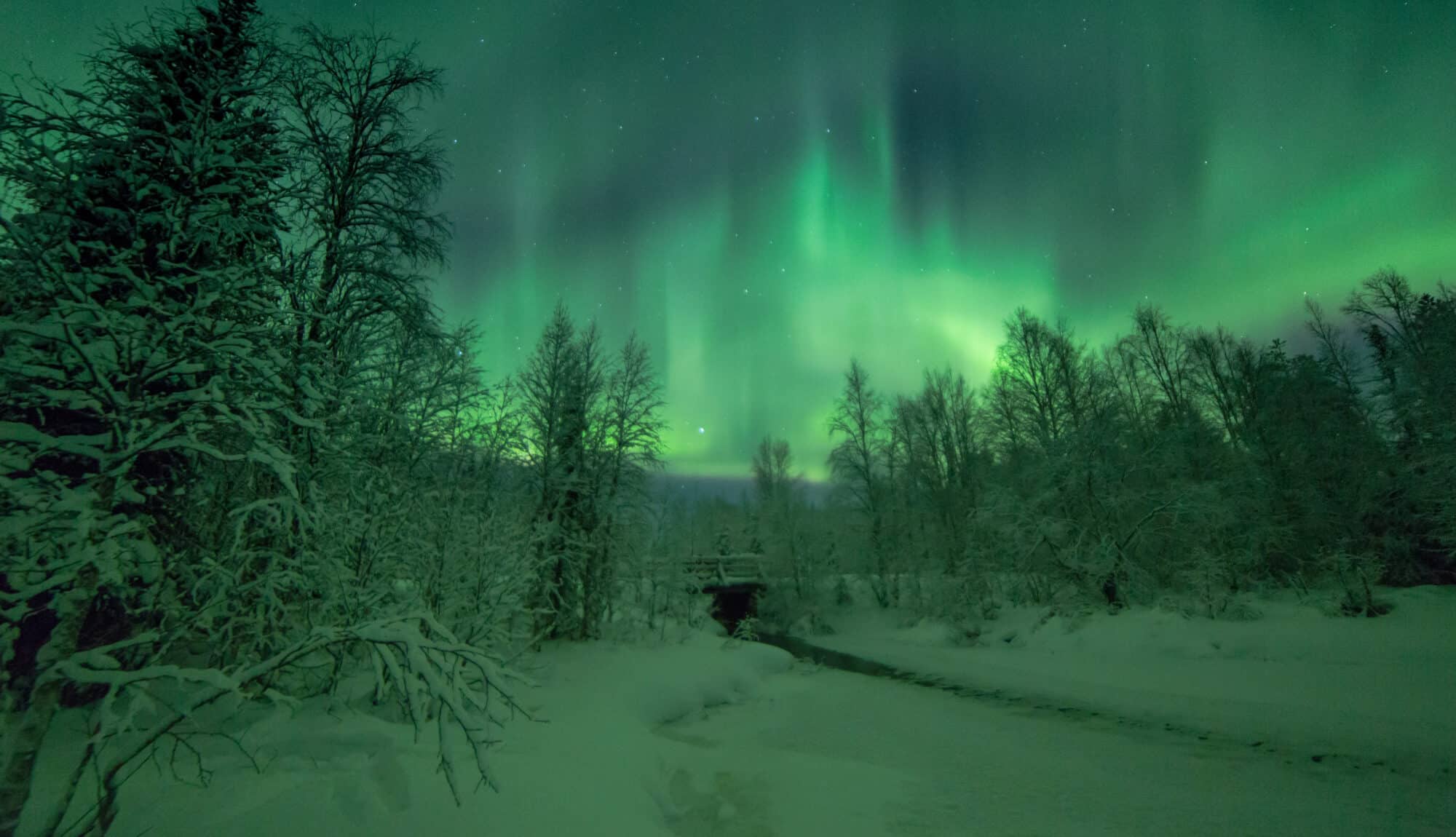 Aurora borealis in Iso-Syöte, Finland