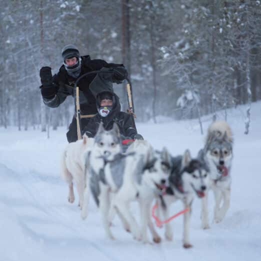 Full day husky safari in Iso-Syöte with lunch