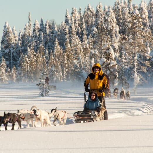 Husky safari in Iso-Syöte, Finland