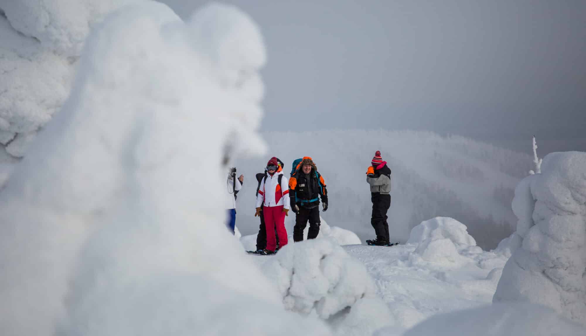 Snowshoeing at Iso-Syöte National Park