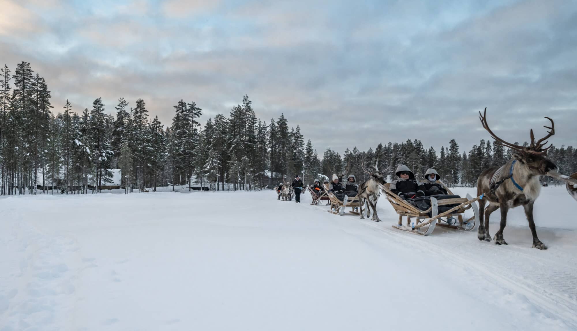 Visit to a reindeer farm in Iso-Syöte, Finland