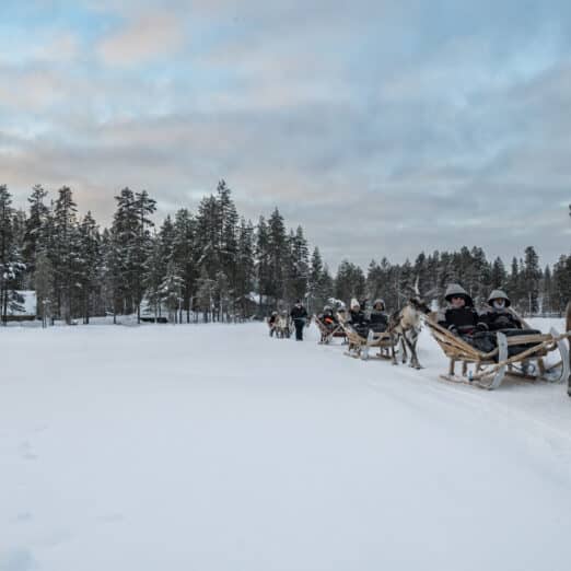 Visit to a reindeer farm in Iso-Syöte, Finland